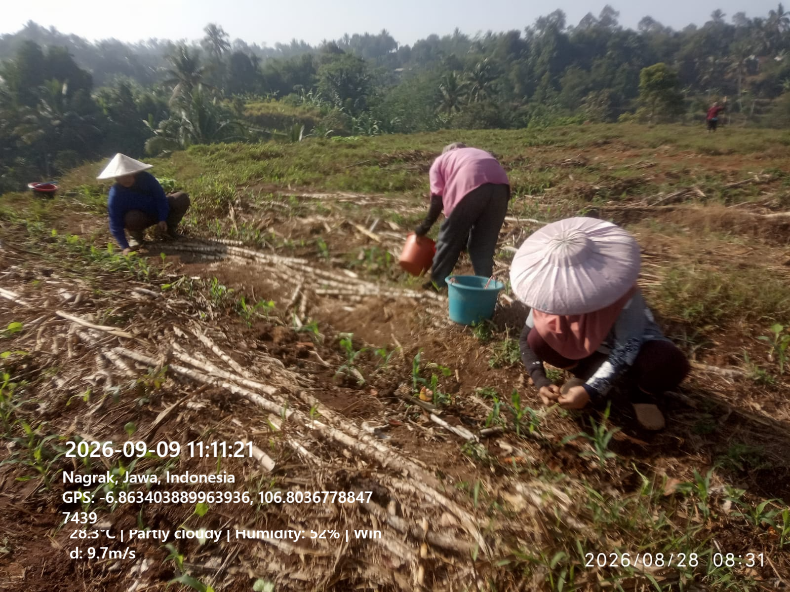 BUMDesma Rusa Emas Punya Spot Wisata Menarik, Geotheater Rancakalong Jadi Magnet Wisatawan